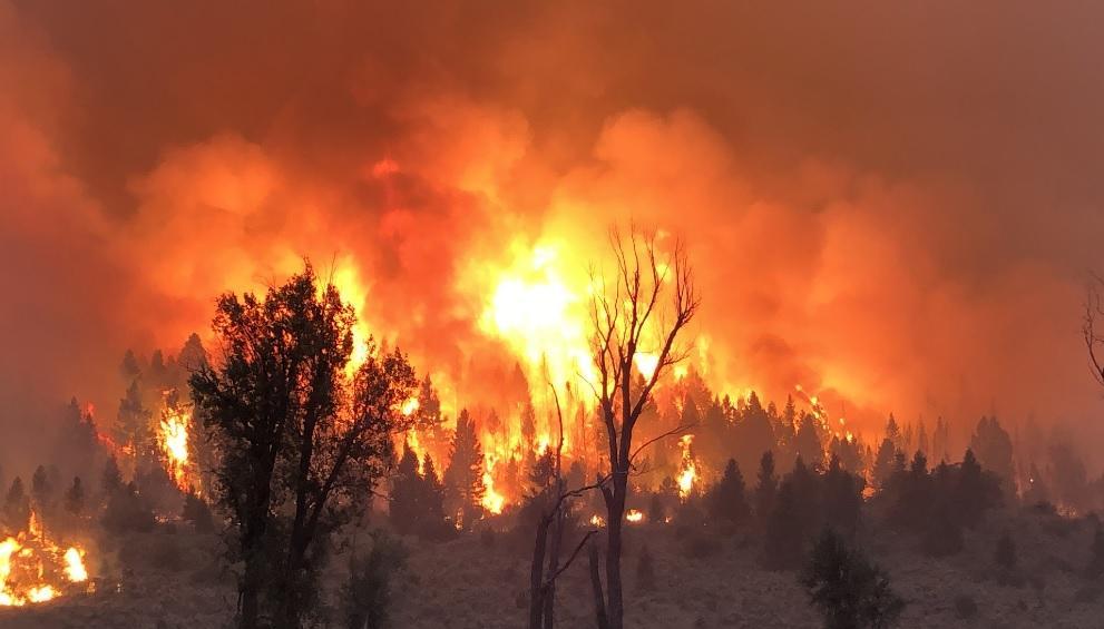PHOTOS: 'Second largest fire in Colorado history' grows to 125,108 ...